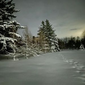 Meet your Posher, Lillian